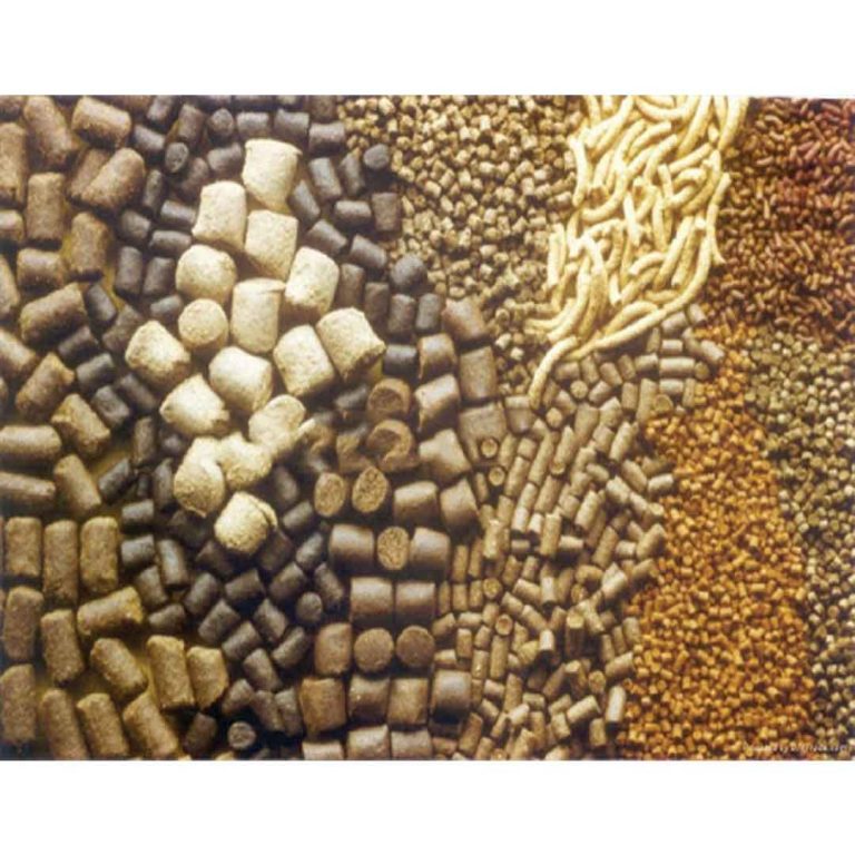 غذای-ماهی