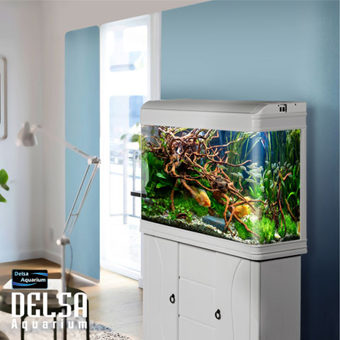 آکواریوم دلسا K1200 - بدون پایه