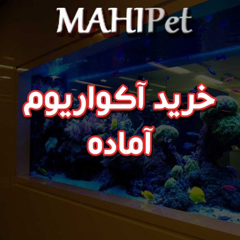 خرید آکواریوم آماده