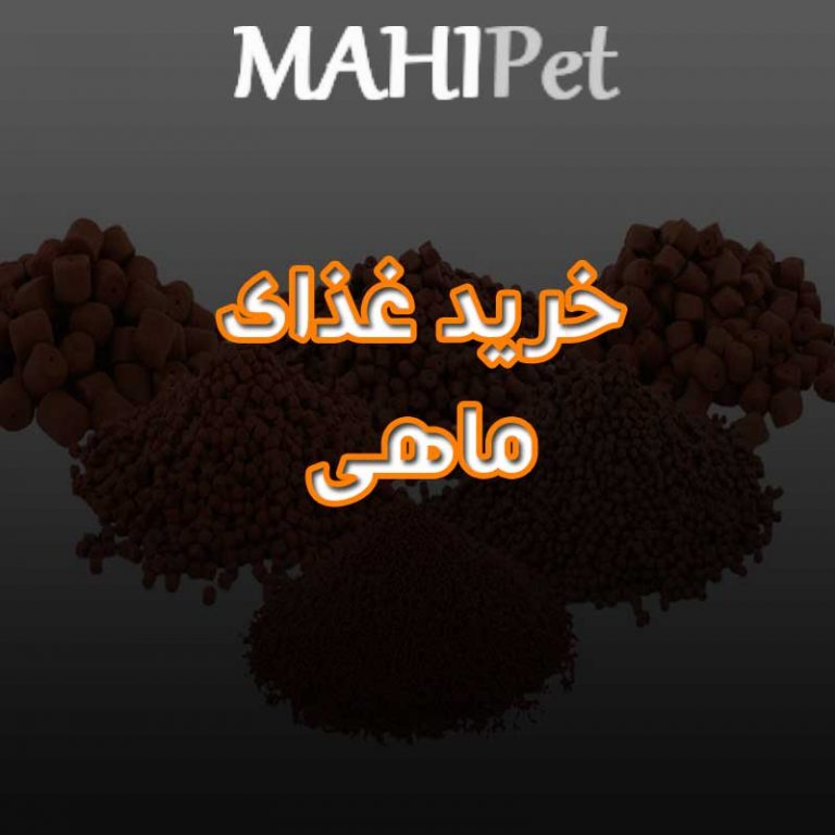 خرید غذای ماهی