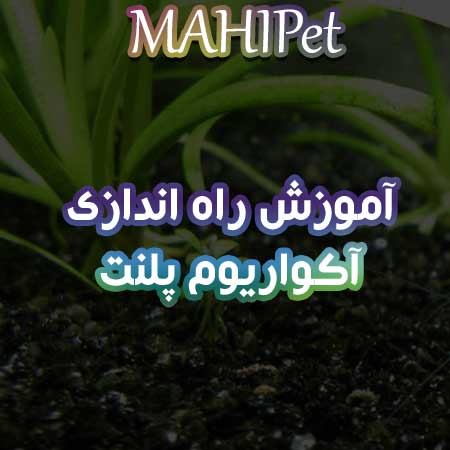 آموزش راه اندازی آکواریوم پلنت گام به گام