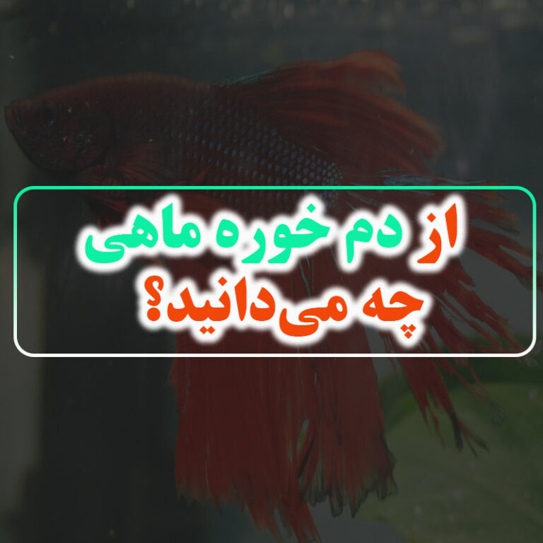 دم خوره چیست؟