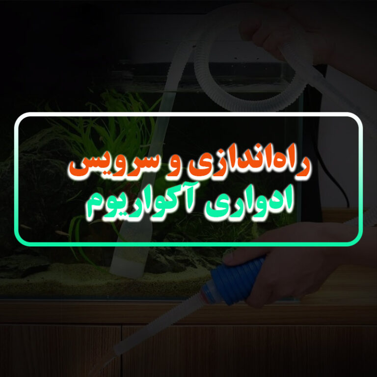 راه اندازی و سرویس ادواری آکواریوم