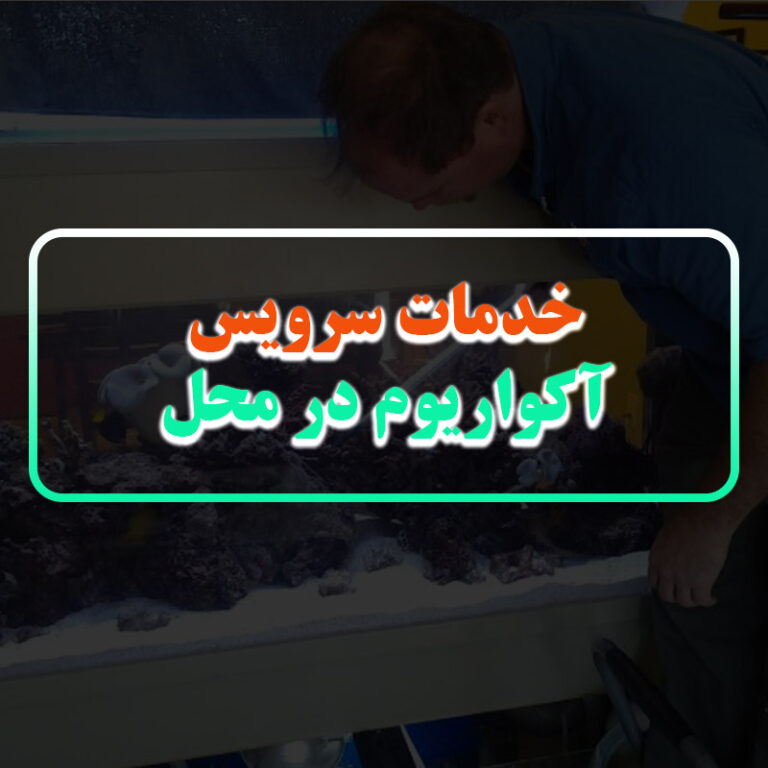انجام خدمات سرویس آکواریوم در محل ماهی پت