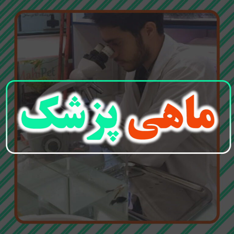 دم خوره چیست؟