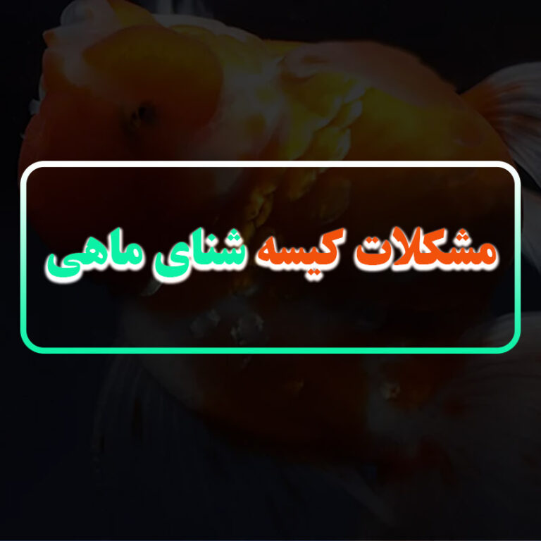 انواع بیماری کیسه شنای ماهی