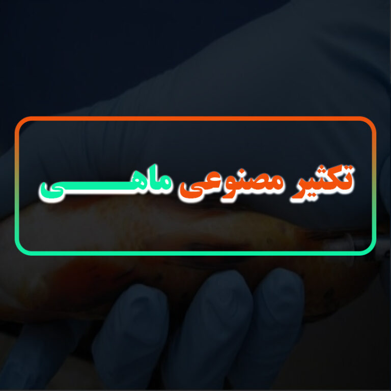 تکثیر مصنوعی ماهی