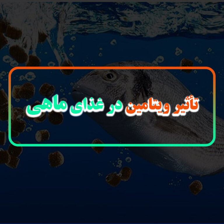 اهمیت ویتامین در تغذیه ماهی
