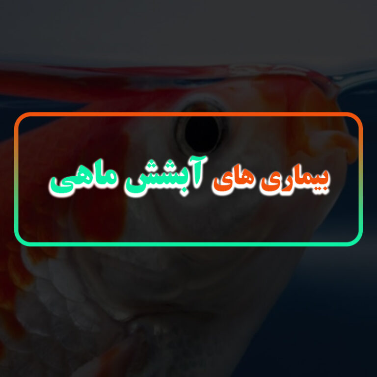 علت‌های بیماری آبشش ماهی