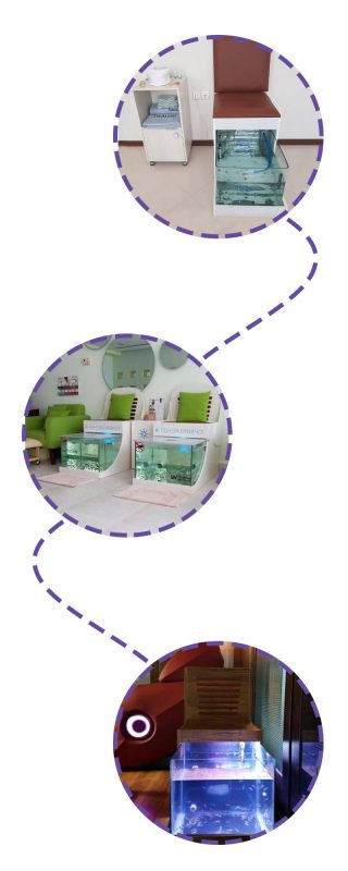 فیش اسپا