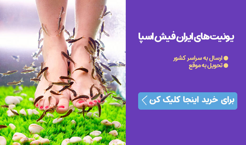 فیش اسپا