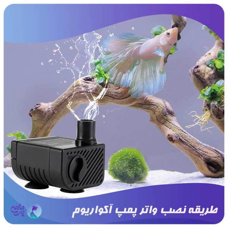 طریقه نصب واتر پمپ آکواریوم