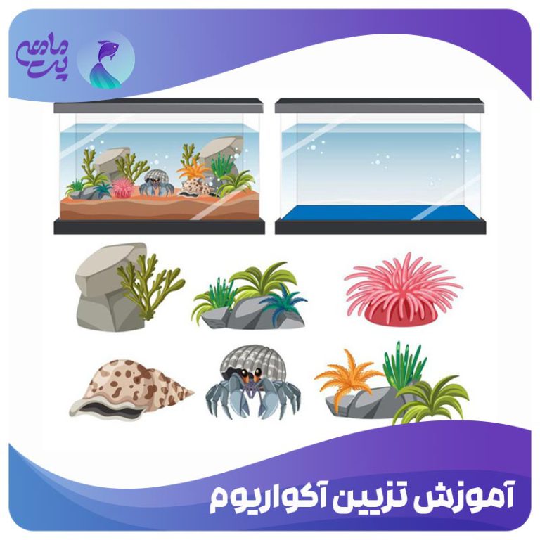 آموزش تزیین آکواریوم