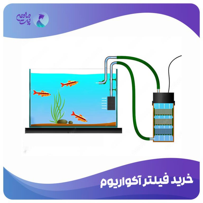 انواع فیلتر آکواریوم