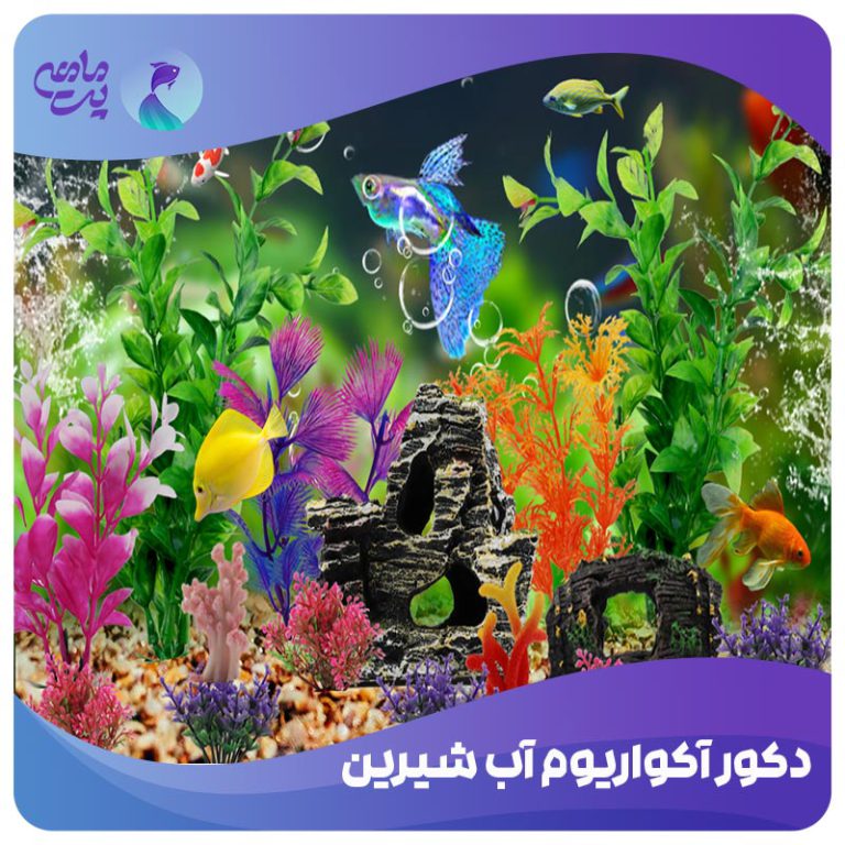 دکور آکواریوم آب شیرین