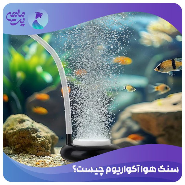 سنگ هوا آکواریوم چیست