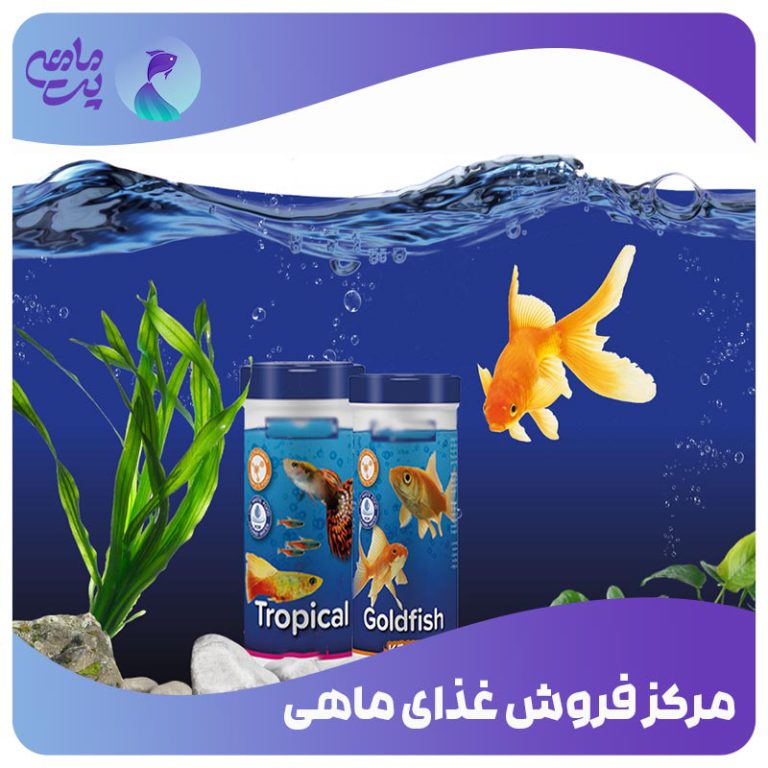 مرکز فروش غذای ماهی