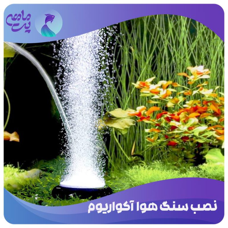 نحوه نصب سنگ هوا آکواریوم