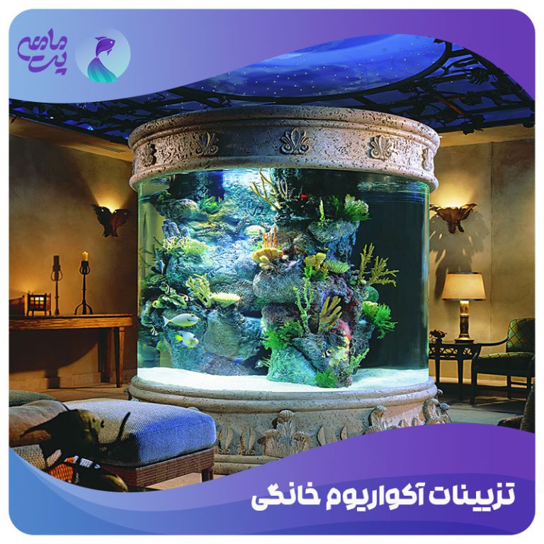 تزیینات آکواریوم خانگی