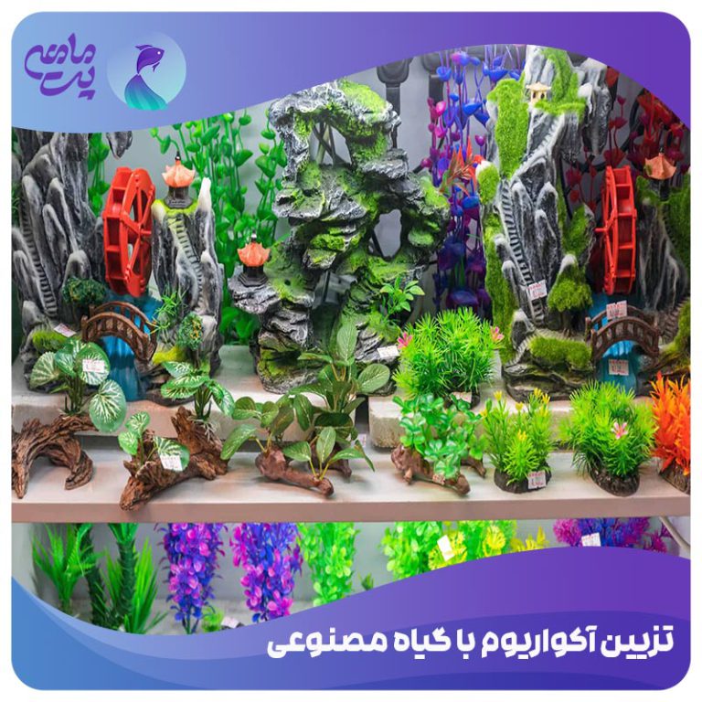 چگونه یک آکواریوم را با گیاهان مصنوعی تزیین کنیم؟
