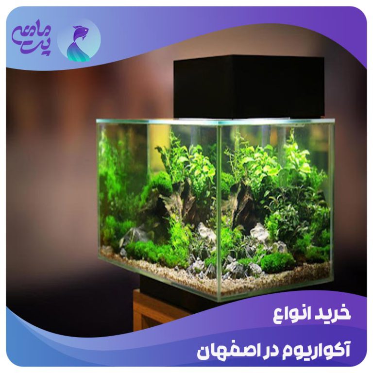 خرید آکواریوم در اصفهان