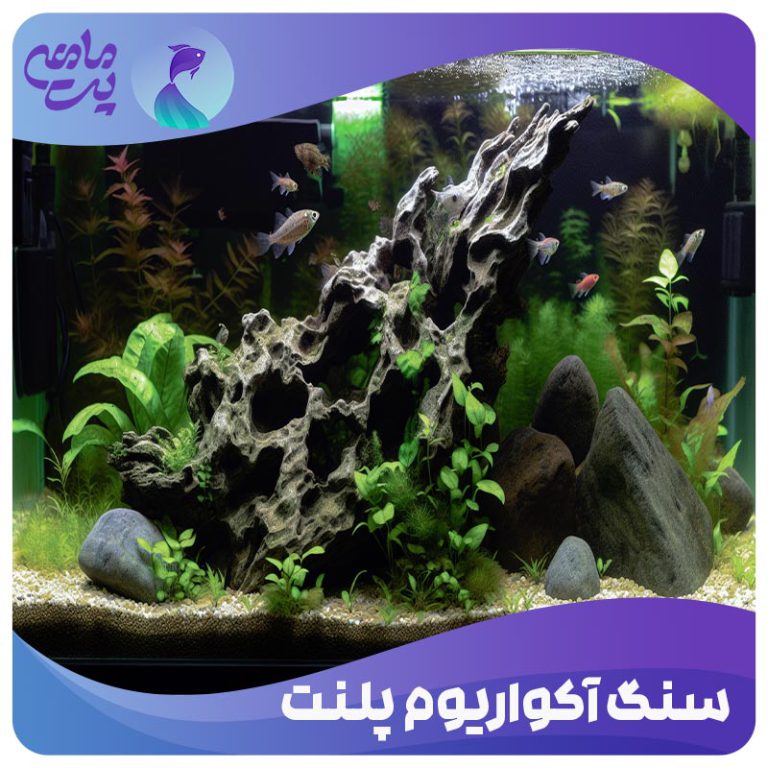سنگ آکواریوم پلنت