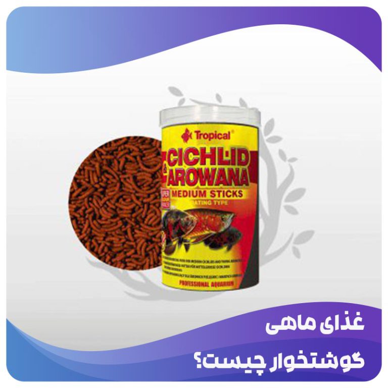 غذای ماهی گوشتخوار چیست