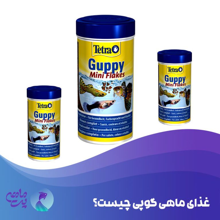 غذای ماهی گوپی چیست