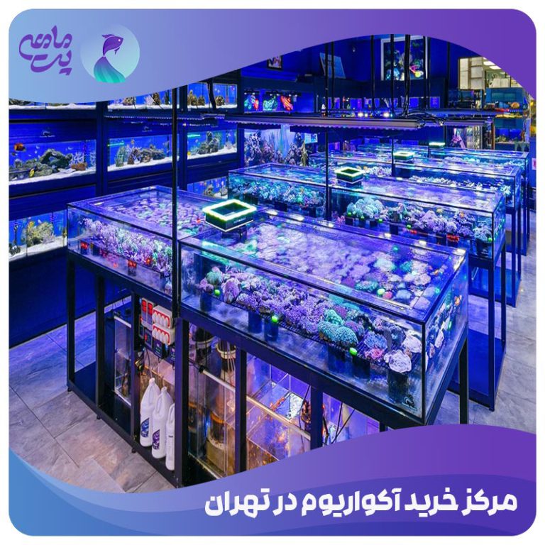 مرکز خرید آکواریوم در تهران