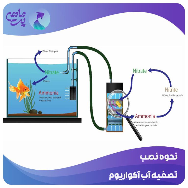 نحوه نصب تصفیه آب آکواریوم