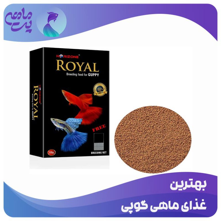 بهترین غذای ماهی گوپی