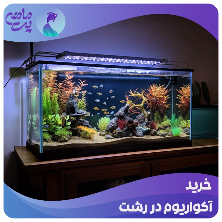 خرید آکواریوم در رشت