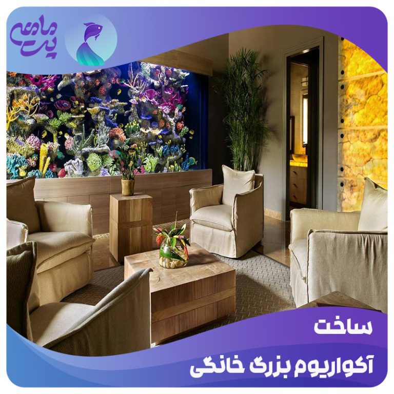 ساخت آکواریوم بزرگ خانگی