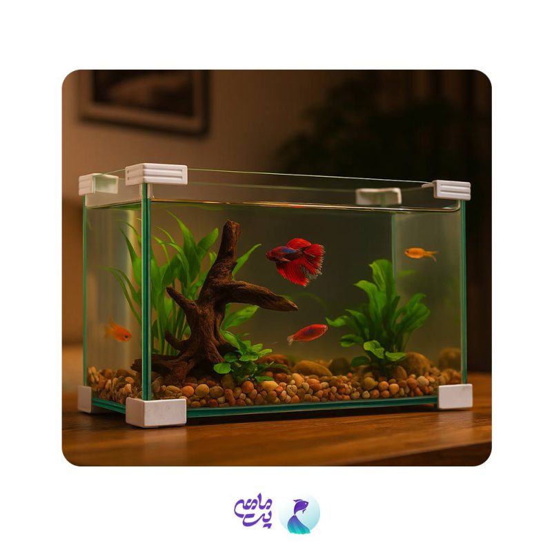 آکواریوم شیشه خم قاب دار دلسا ضخامت 4 میل(36*54ارتفاع 40)