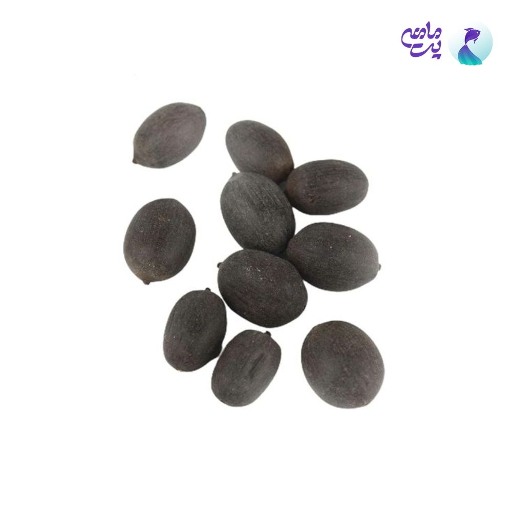 پیاز نیلوفر ببری سبز-قرمز