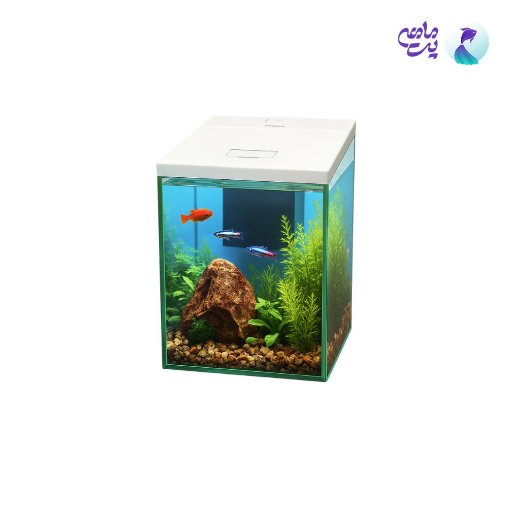 آکواریوم هوشمند بویو GR-MINI-S با تکنولوژی وای فای